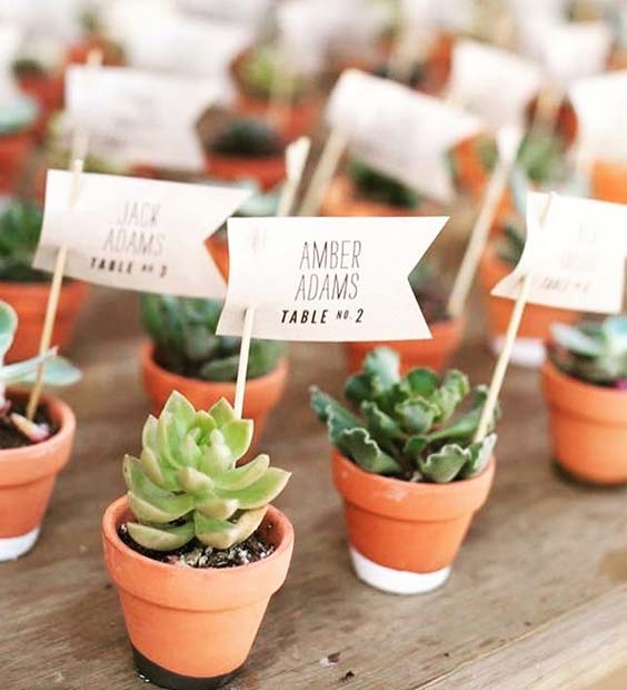 Cute Plant Place Cards