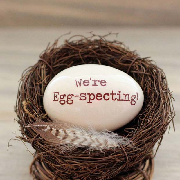 We're Egg-Specting Egg