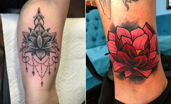 Lotus Flower Pretty Lotus Flower Tattoo Ideas for WomenTattoos