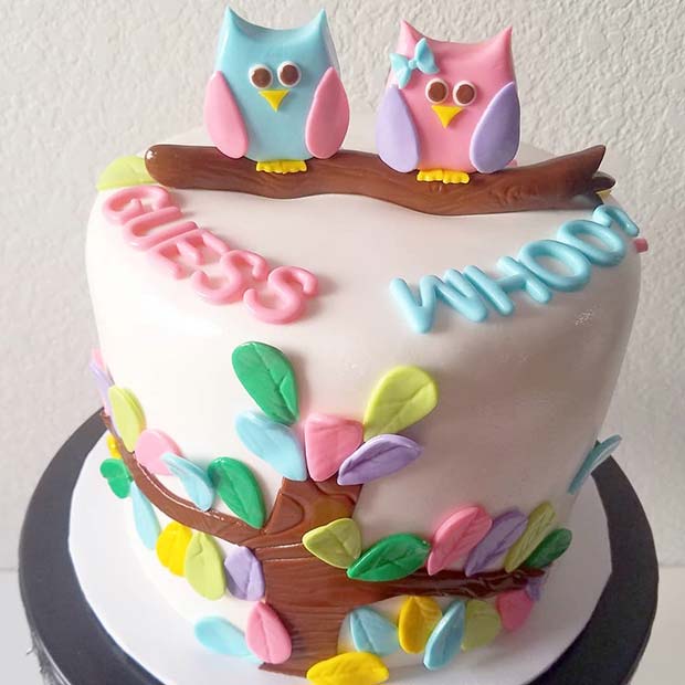 Adorable Owl Gender Reveal Cake