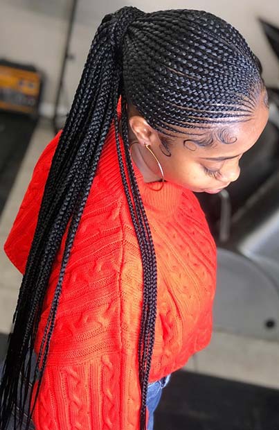 Long Braided Ponytail with Thin Braids