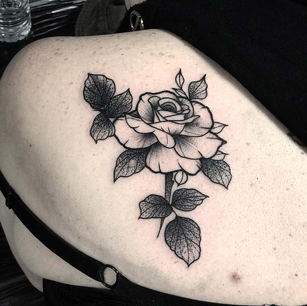 Pretty Rose with Shaded Leaves