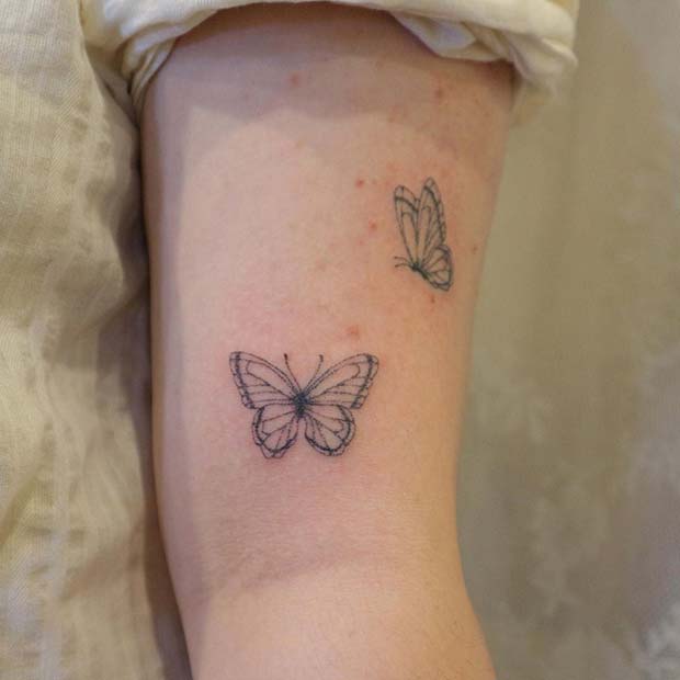 Two Small Butterflies